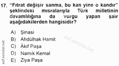 Soru 17
