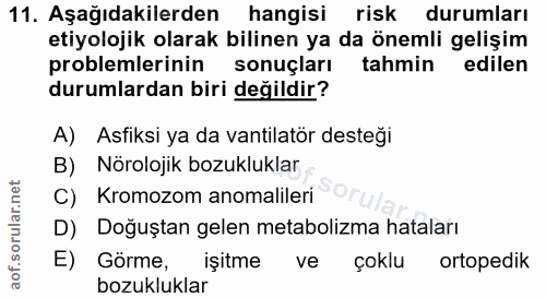 Soru 11
