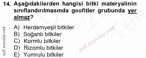 Soru 14