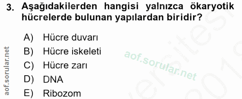 Soru 3