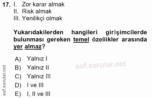 Soru 17