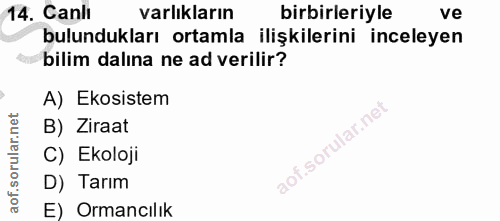Soru 14