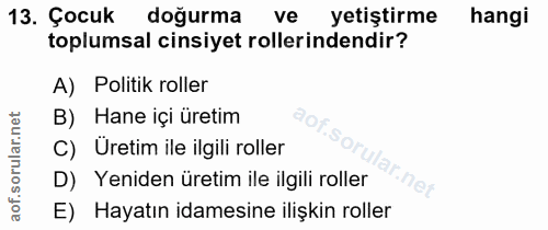 Soru 13