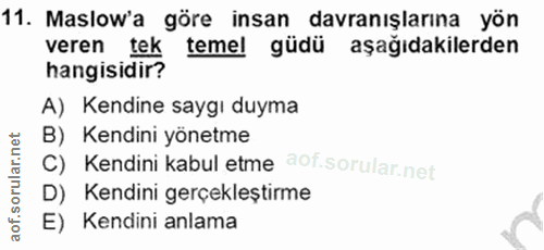 Soru 11