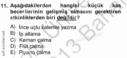Soru 11