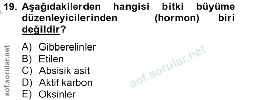Soru 19