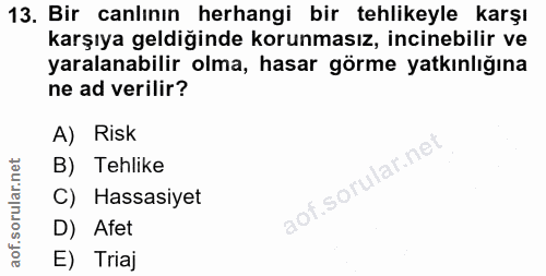 Soru 13