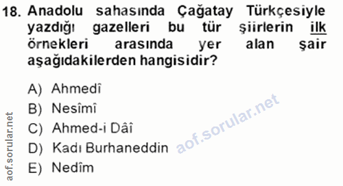 Soru 18