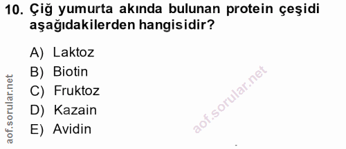 Soru 10