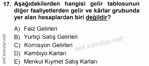 Soru 17