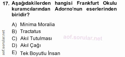 Soru 17