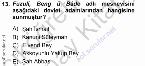 Soru 13