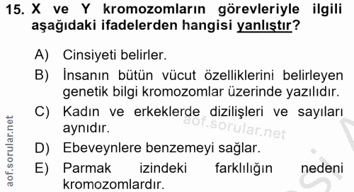 Soru 15