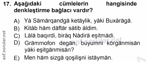 Soru 17