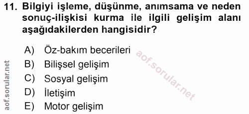 Soru 11