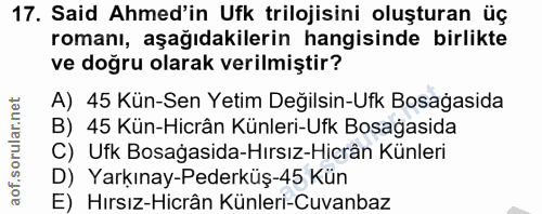 Soru 17