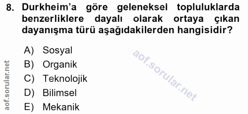 Soru 8