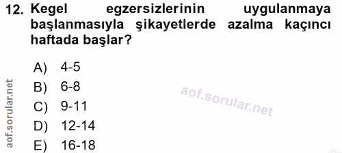 Soru 12