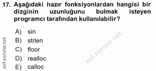 Soru 17
