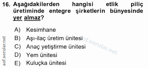 Soru 16