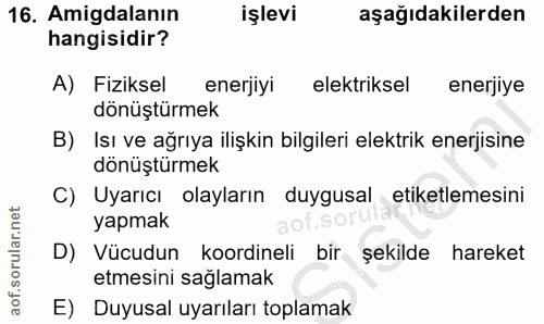 Soru 16