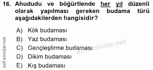 Soru 16