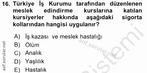 Soru 16