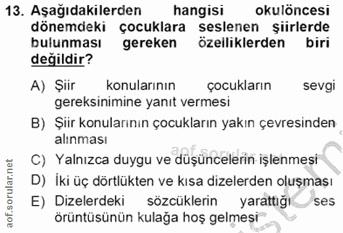 Soru 13