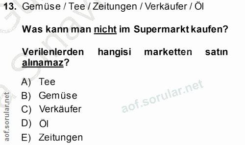 Soru 13