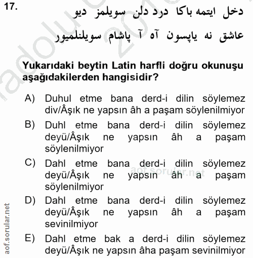 Soru 17