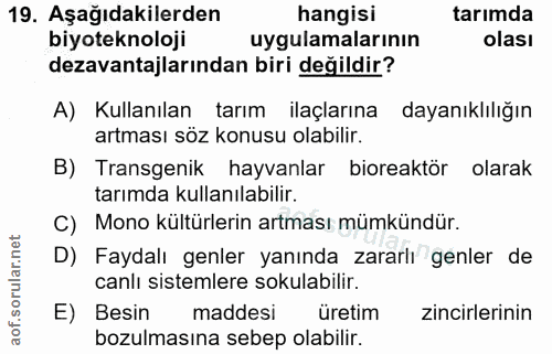 Soru 19