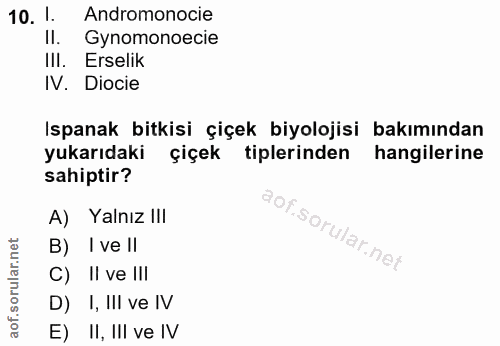 Soru 10