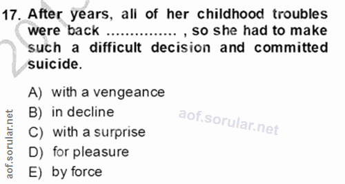 Soru 17