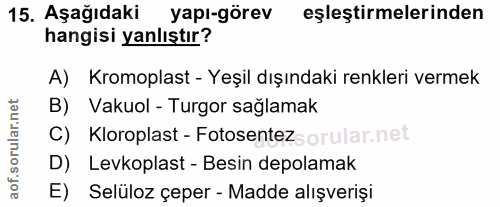 Soru 15