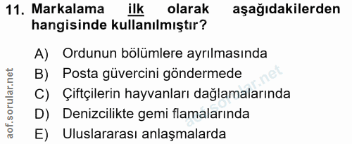 Soru 11
