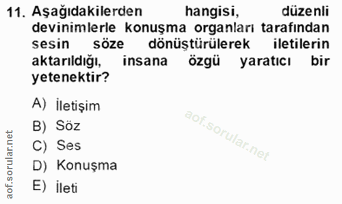 Soru 11