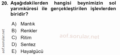 Soru 20