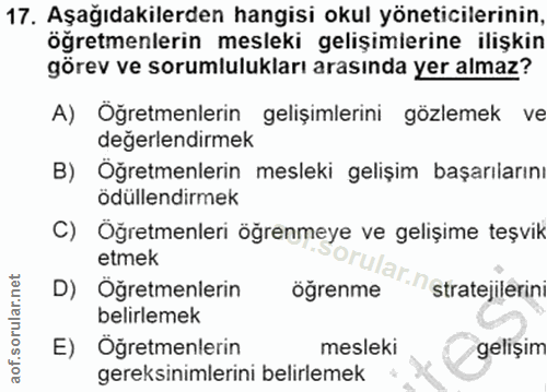 Soru 17