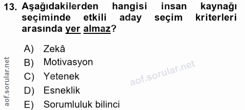 Soru 13
