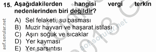 Soru 15