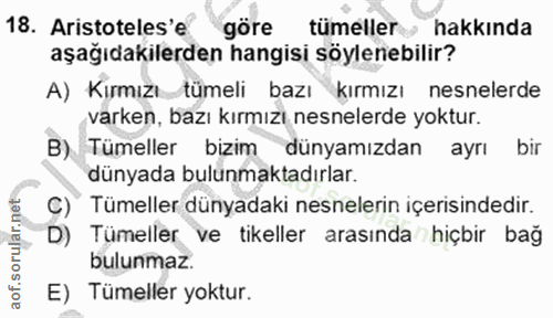 Soru 18