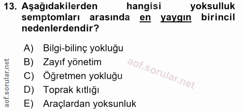 Soru 13