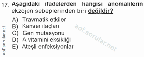 Soru 17
