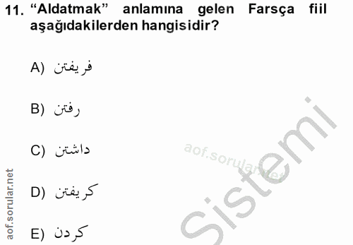 Soru 11