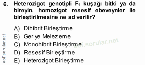 Soru 6