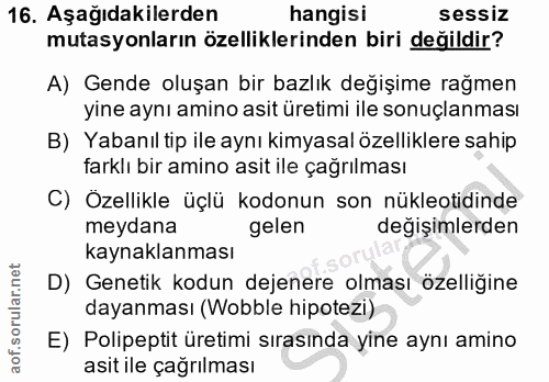Soru 16