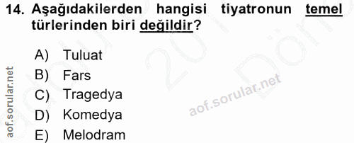 Soru 14