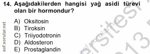 Soru 14