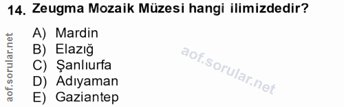 Soru 14