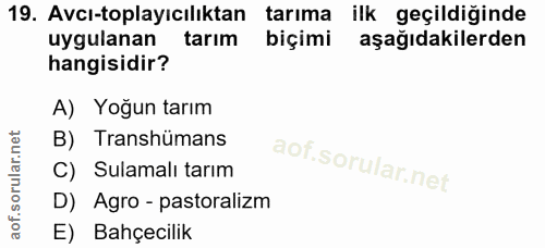 Soru 19